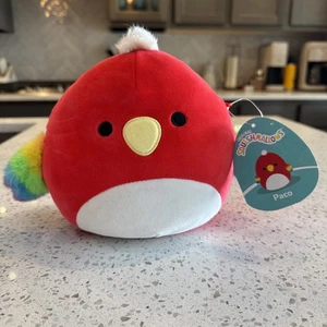 Squishmallows 8" Paco the Parrot NWT Plush Bird Red Rainbow - Picture 1 of 5