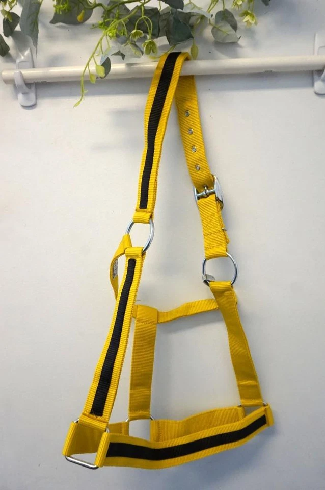 Popular Caballo DRAFT XL Rayas Negras - Amarillo Mostaza o Púrpura - Soportes de Nylon Foto 1 de 1