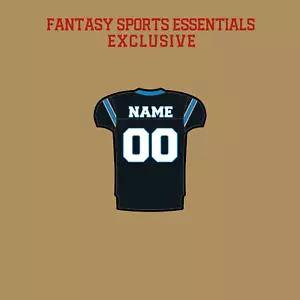 Carolina Panthers Football CUSTOM MADE Sticker Decal - CHOOSE YOUR PLAYER - Picture 1 of 1