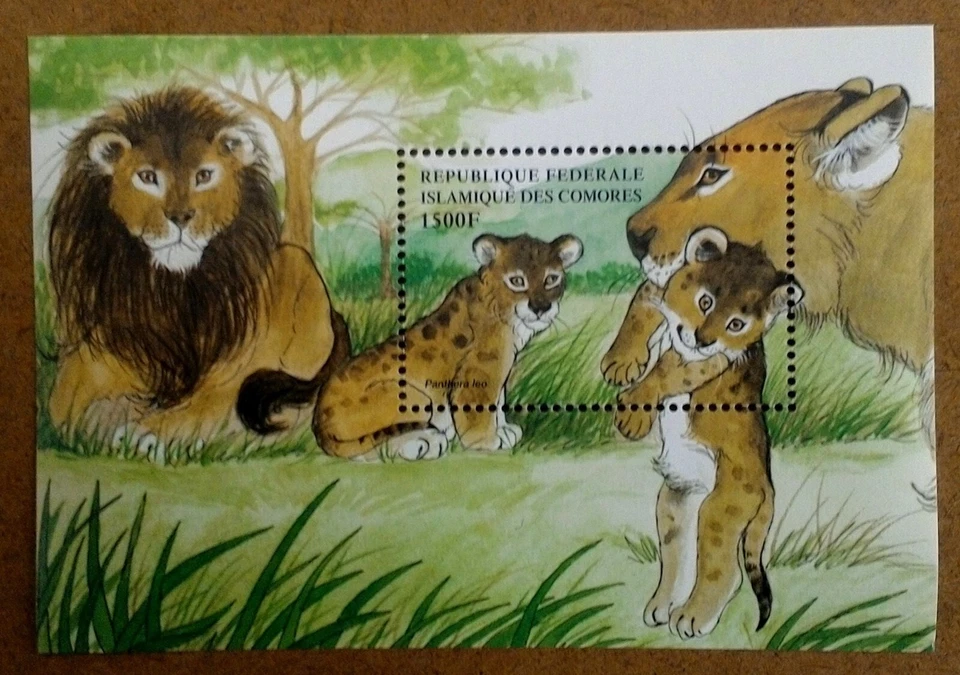 CLÁSICOS DE COLECCIÓN - Comoras 1999 - Orgullo León, Animales - Hoja de recuerdo - MNH Foto 1 de 1