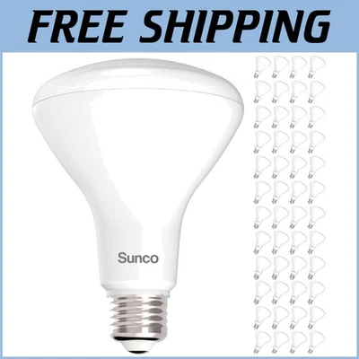 Premium 48 Pack BR30 LED Flood Bulbs - Dimmable Brightness for Cozy Spaces - Image 1 of 4