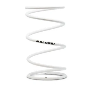 Muelle de contraste embrague malossi reforzado blanco bmw c600/c650gt 2915497.w0 - Imagen 1 de 1