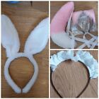 Cosplay Bundle Maid Headband Rabbit Bunny Ears Fox Ears And Tail Dress Up Furry