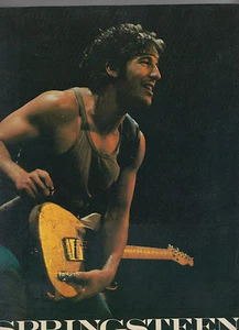 ROBERT HILBURN tpb Springsteen illustrated biography - Picture 1 of 1