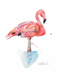Flamingo, Steve Klinkel, Wall Decor Home Art Print Poster 14" x 11" 1136 - Picture 1 of 1