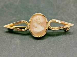 1960s  Faux Shell Cameo Brooch – Elegant Lady’s Profile, Bar Setting - Picture 1 of 9