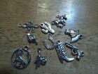 10 pc. WILD WEST Charms