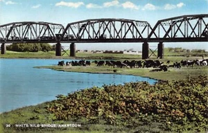 Sudan - KHARTUM - Weiße Nilbrücke - Publ. Tropische Fotoläden - Bild 1 von 2