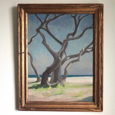 Pintura de cedros Elihu Root Jr 1953 San Agustín Florida playa paisaje marino Nueva York Foto 1 de 4