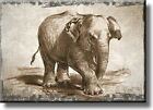 Vintage Elephant Picture on Stretched Canvas, Wall Art Décor, Ready to Hang