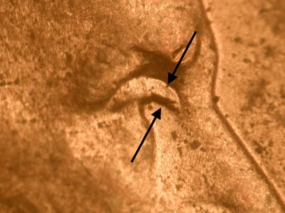 Bonito centavo conmemorativo Lincoln WDDO-002 1992 rojo/marrón sin circular doble matriz Foto 1 de 3