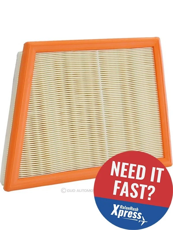 Ryco Air Filter A1878 Fits Mini Mini, Clubman, Bmw X1, 2 Series - image 1 of 4