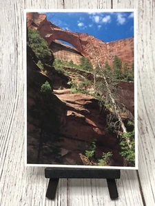 Kolob Canyons Arch, Zion National Park - Utah Postcard - Picture 1 of 3