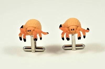 Abotoaduras de caranguejo eremita--mundo marinho oceano natureza aquática animal pesca praia - Imagem 1 de 3