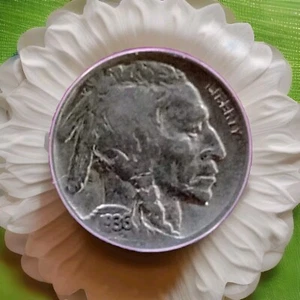 1936 P Buffalo Nickel Struck Through Error ANACS F 12 Graded. - Picture 1 of 9