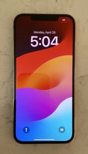 Apple iPhone 12 Pro Max - 256 GB - Rose Gold -Camera & Face ID Issue - Read - Afbeelding 1 van 8