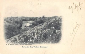GUERNSEY - Fermain Bay Valley - Publ. T. B. Banks & Co.'s Series - Imagen 1 de 2