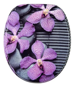 KLOBRILLE TOILETTENSITZ TOILETTENBRILLE WC BRILLE DECKEL SITZE KLOSITZ VANDA - Bild 1 von 6