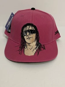 BRET HART The Hitman Official WWE Wrestling SnapBack Hat Chalkline NWT - Picture 1 of 9