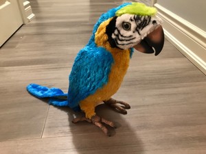 squawkers mccaw price