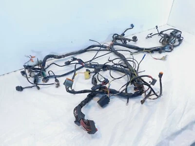 Harley Davidson Road King Police EFI 2003 03 FLHPI cableado principal arnés telar Foto 1 de 4