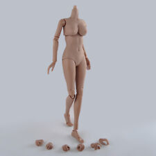 1/6 Female Action Figure Body Suntan Wheatish Skin Big Bust For 12inch Doll
