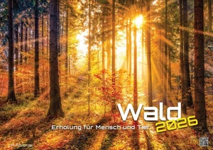Wald - Erholung für Mensch und Tier - 2026 - Kalender DIN A2 - Bild 1 von 14