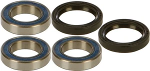 ALL BALLS REAR WHEEL BEARING/SEAL KIT- 22-51250 - Picture 1 of 1