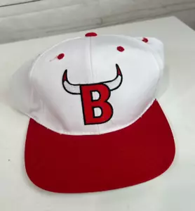 Vintage Chicago Bulls NBA Basketball Snapback Hat Cap SGA Miller Lite NEW - Picture 1 of 5