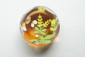 Caithness Paperweight Butterfly Design Limited Edition 71/150 - Picture 1 of 10