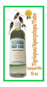 Live Copepods (TISBE / TIGRIOPUS - tigger / APOCYCLOPS) 16oz Florida Reef Labs® - Picture 1 of 6