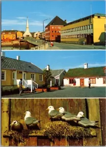 Vintage 1980s Vardo, NORWAY 4"x6" Postcard Multi-View - Street Scene, Seagulls - Picture 1 of 2