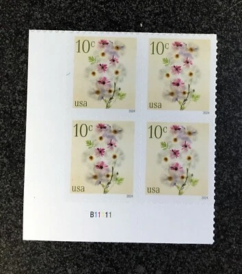 2024USA #5901 10c Poppies & Coneflowers - Plate Block of 4  Mint NH    flower - Image 1 of 4
