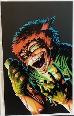 Peter Pan Cover Art Sampler Book - Poncho - 2024 C2E2 Exclusive - Image 1 of 2