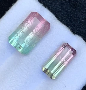 7.34 CRT Bicolour Watermelon 🍉 Tourmaline Natural Earth Mined Unheated Faceted - Picture 1 of 6