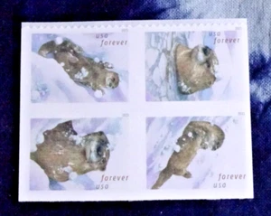 US 5648-5651 OTTERS IN SNOW BOOKLET BLOCK OF (4) (F) STAMPS MNH/SA FAIR PRICE!! - Picture 1 of 2