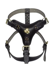 Extra großes strapazierfähiges schwarzes Leder Hundegeschirr mit goldenem Stock Corso Abzeichen - Bild 1 von 1