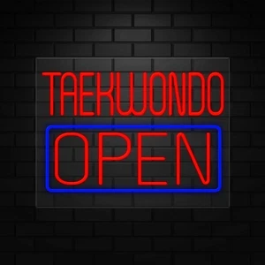 TaeKwonDo Open Neon Sign for Retail Displays | LED Flex Neon | 31"W x 24"H x 1"D - Picture 1 of 5