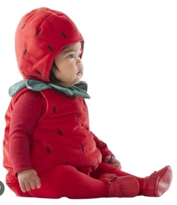 POTTERY BARN KIDS STRAWBERRY BABY INFANT 6-12 MONTHS COSTUME - Picture 1 of 5