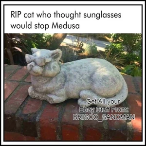 Kühlschrank Spaß Kühlschrankmagnet "RIP CAT MIT SONNENBRILLE GEGEN MEDUSA" Meme - Bild 1 von 12