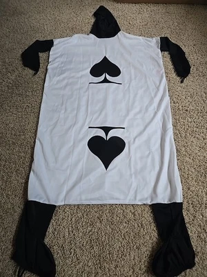 Tarjeta Algy Spade Disfraz Halloween Niño Intermedio Alicia en el País de las Maravillas Familia Foto 1 de 4