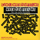 DJ Wild - When You Feel Me Part 1 - French 12" Vinyl - 2015 - W