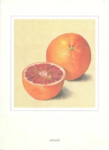 SWISSAIR circa 1985 First Class MENU Europe to North Africa ORANGE Design Cover - Bild 1 von 2