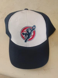 South Bend Cubs Mütze Four Winds Field neu verstellbar Chicago Minor League AAA - Bild 1 von 6
