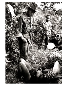Delta del Mekong Vietnam 1962 Capilla Dickey IMPRESIÓN DE COLECCIÓN Guerra Viet Cong Ejecución - Imagen 1 de 1