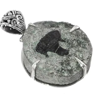 Colgante de Ley Harrodsburg fósil de tiburón clatodonte en matriz plata 925 raro - Imagen 1 de 3
