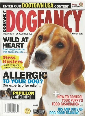 Dog Fancy Magazine Beagle Allergies Cleanup Solutions Door Training Papillon  Foto 1 de 4