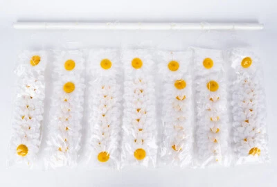 7er Künstliche Blumengirlande Margeriten - Länge je 1,95 m - Neu & OVP - Bild 1 von 3