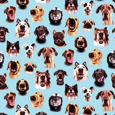 Elizabeths Studio - Follow Your Nose - Dog Faces - Blue - Image 1 of 4