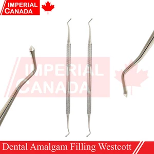 Dental Westcott Restaurador Amalgama Cavidad Relleno Bola Burnisher Compos DS-2171 - Imagen 1 de 2